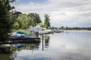 _MG_2725